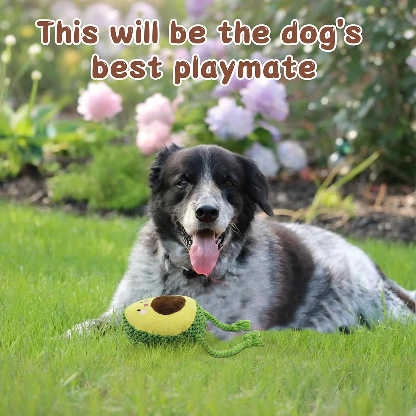 Dog Plush Toy Avocado