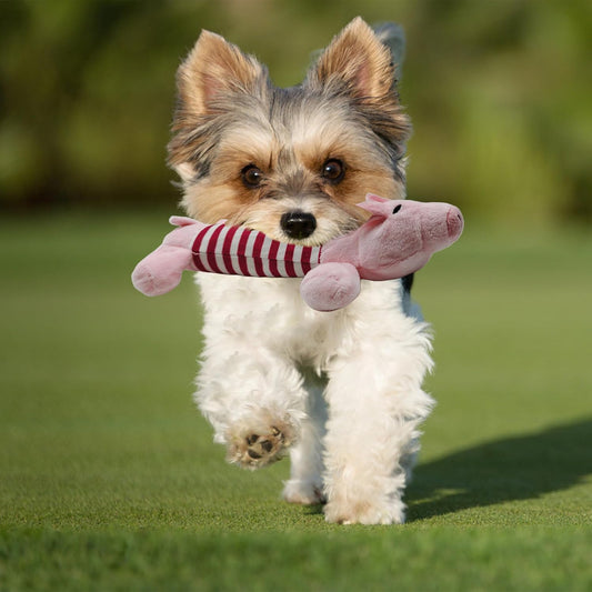 Dog Plush Toy Long Pig